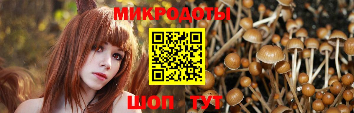 Ноябрьск  Галлюциногенные грибы мицелий  Вход с VPN 